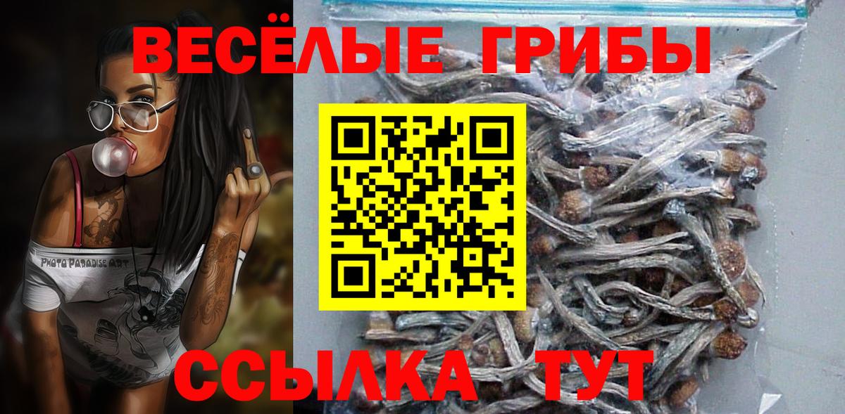 Галлюциногенные грибы Cubensis Нефтекумск